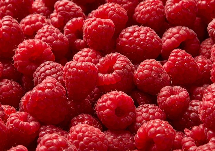 Rijpe frambozen