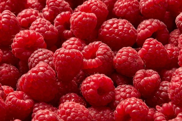 Rijpe frambozen