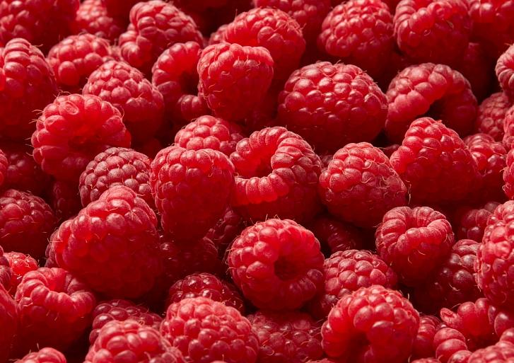 Rijpe frambozen