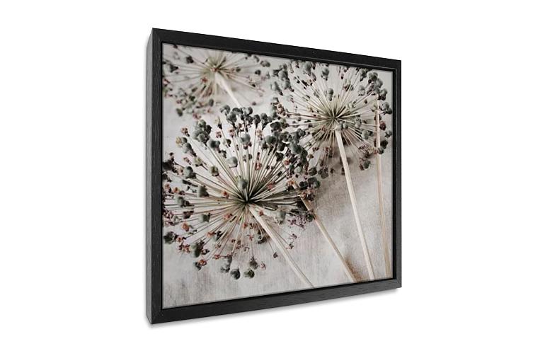 droge allium bloemen op beige stof mock up canvas vierkant