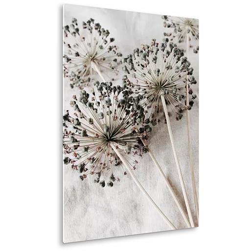 droge allium bloemen op beige stof mock up plexiglas staand