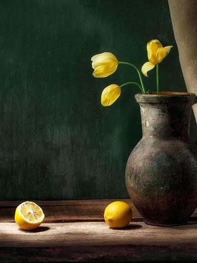 Stilleven citroen en tulp