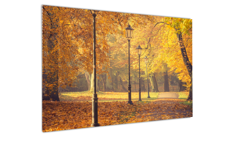 karton herfst